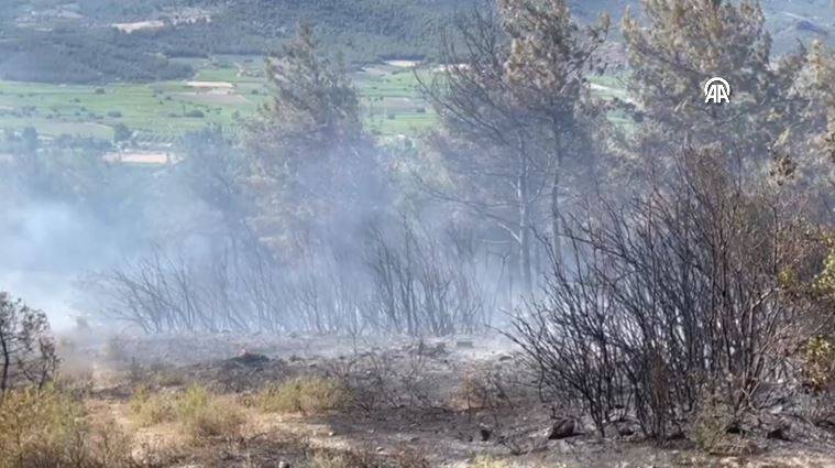 Sakarya'da orman yangını 14